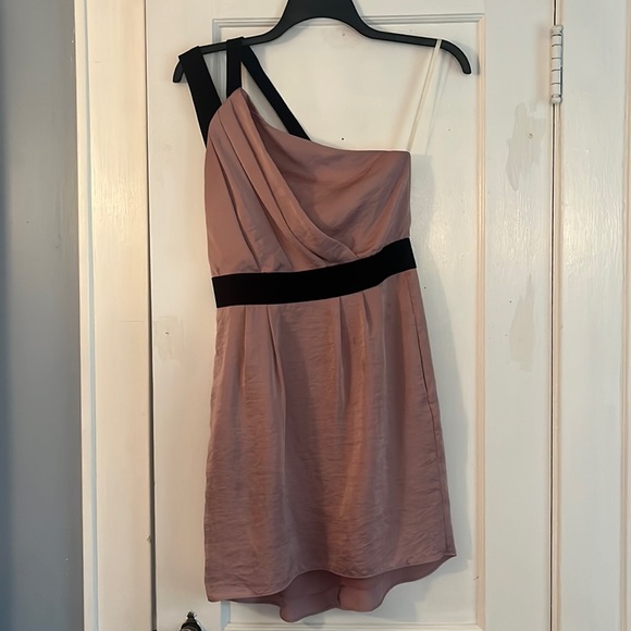 Dusty Rose BCBG dresss - Picture 1 of 5